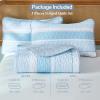 imageDintszyayue Quilt Queen Size Grey White 3 Pieces Boho Striped Bedspread Bedding for Queen Size Bed Soft Lightweight Microfiber Bohemian Coverlet Set for All Season Quilts with 2 PillowcasesLight Blue