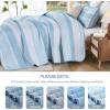 imageDintszyayue Quilt Queen Size Grey White 3 Pieces Boho Striped Bedspread Bedding for Queen Size Bed Soft Lightweight Microfiber Bohemian Coverlet Set for All Season Quilts with 2 PillowcasesLight Blue