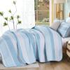 imageDintszyayue Quilt Queen Size Grey White 3 Pieces Boho Striped Bedspread Bedding for Queen Size Bed Soft Lightweight Microfiber Bohemian Coverlet Set for All Season Quilts with 2 PillowcasesLight Blue
