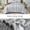 imageDintszyayue Quilt Queen Size Grey White 3 Pieces Boho Striped Bedspread Bedding for Queen Size Bed Soft Lightweight Microfiber Bohemian Coverlet Set for All Season Quilts with 2 PillowcasesGrey