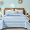 imageDintszyayue Quilt Queen Size Grey White 3 Pieces Boho Striped Bedspread Bedding for Queen Size Bed Soft Lightweight Microfiber Bohemian Coverlet Set for All Season Quilts with 2 PillowcasesLight Blue