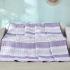 imageDintszyayue Quilt Queen Size Grey White 3 Pieces Boho Striped Bedspread Bedding for Queen Size Bed Soft Lightweight Microfiber Bohemian Coverlet Set for All Season Quilts with 2 PillowcasesPurple