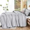 imageDintszyayue Quilt Queen Size Grey White 3 Pieces Boho Striped Bedspread Bedding for Queen Size Bed Soft Lightweight Microfiber Bohemian Coverlet Set for All Season Quilts with 2 PillowcasesGrey