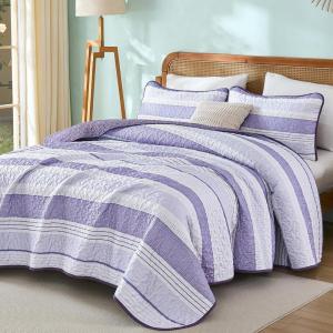 imageDintszyayue Quilt Queen Size Grey White 3 Pieces Boho Striped Bedspread Bedding for Queen Size Bed Soft Lightweight Microfiber Bohemian Coverlet Set for All Season Quilts with 2 PillowcasesPurple