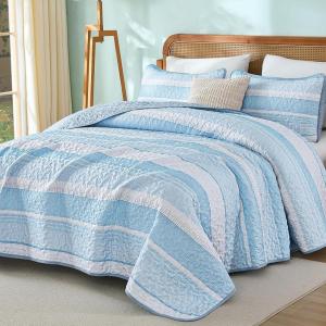 imageDintszyayue Quilt Queen Size Grey White 3 Pieces Boho Striped Bedspread Bedding for Queen Size Bed Soft Lightweight Microfiber Bohemian Coverlet Set for All Season Quilts with 2 PillowcasesLight Blue